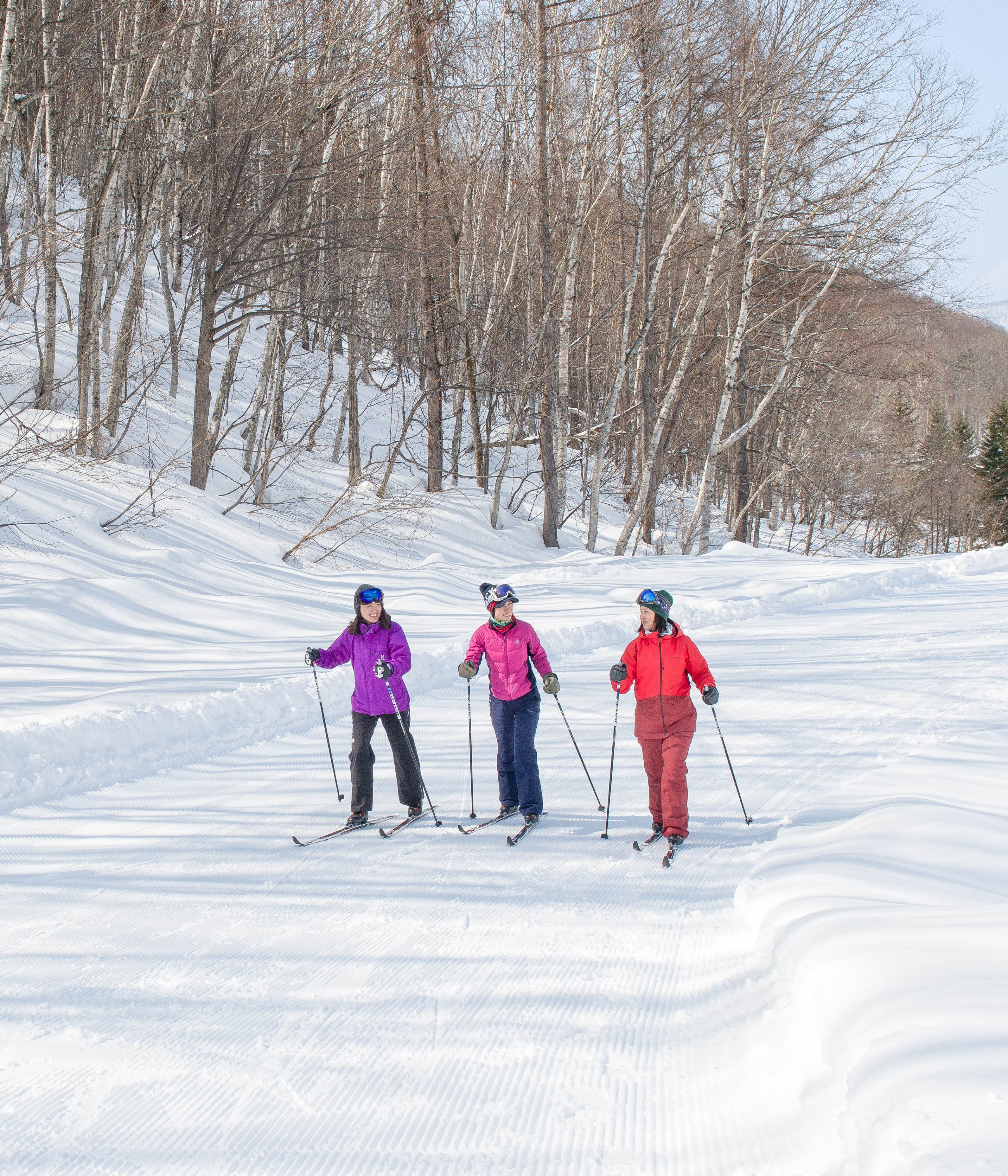 Cross Country Skiing