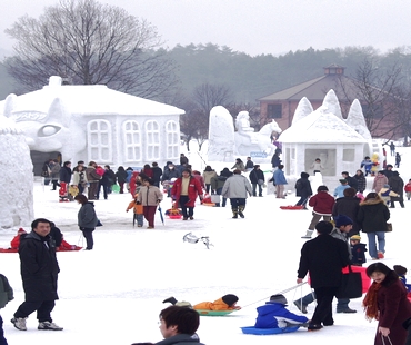 Iwate Snow Festival