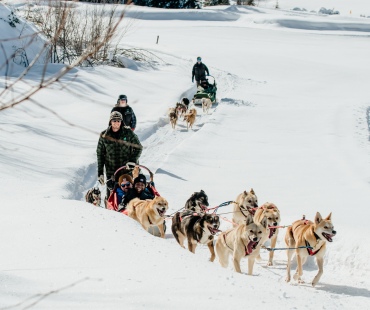 Dogsledding through beautiful winter trails