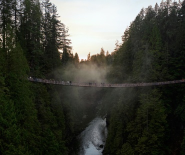 Beautiful rainforest and suspension bridge 