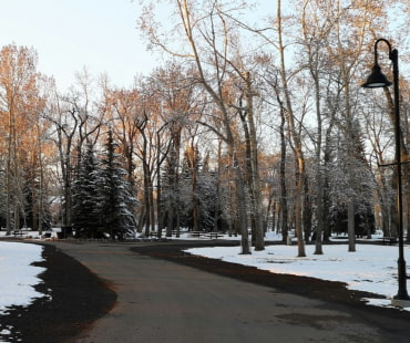 snowy pathways in Calgary Prince island park