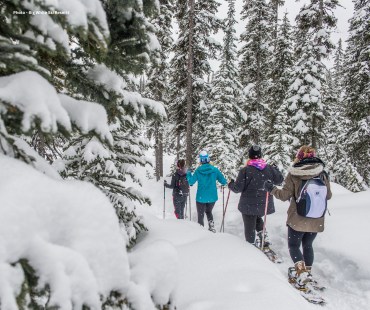 a group of people hiking through big whites snowy trails in snowshoes