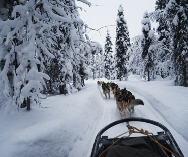 Big Sky Dog Sledding