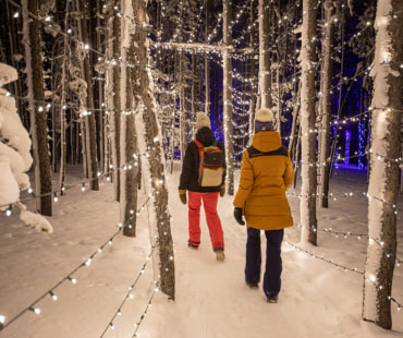 Enchanted Forest at Big Sky