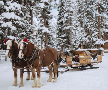 Big Sky Sleigh Rides