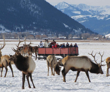 Sleigh Rides at Jackson Hole