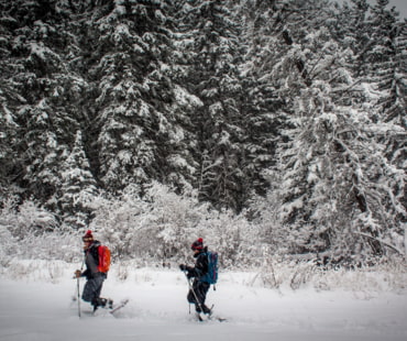 Snowshoeing at Jackson Hole