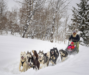 Park City Dog Sledding