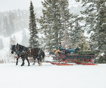 Park City Sleigh Rides