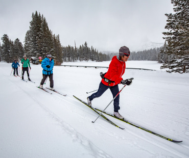 people cross-country trail skiing at Mammoth