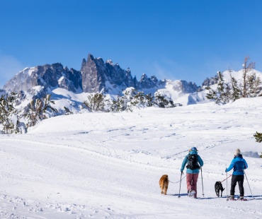 people walking dogs and snowshoeing with beautiful views