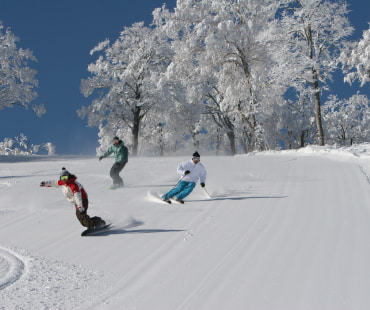 Nozawa Onsen Ski Resort