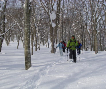 Snowshoe Tours in Madarao