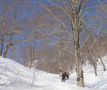 Snowshoe Treks Amihari Forest