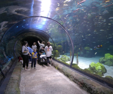 Undercover Walkway at Denver Aquarium