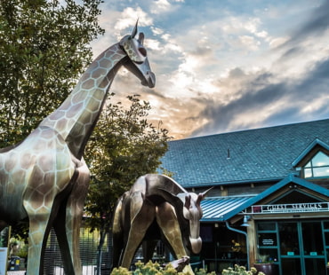 Denver Zoo