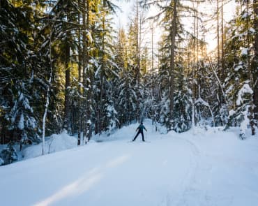 Chamonix Cross Country Fields