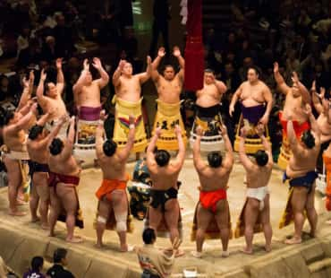 Sumo Tournaments in Tokyo