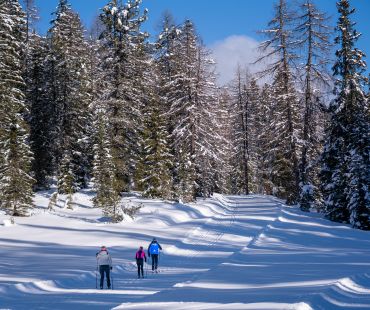 People enjoying nordic trails on crosscountry skis