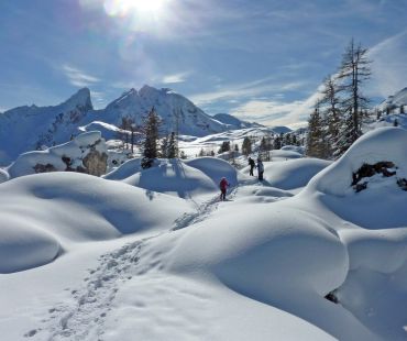 People show shoeing through the deep fluffy snow