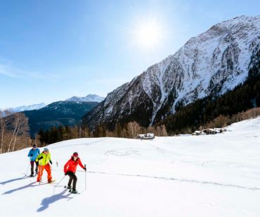 People trekking with snowshoes through snowy trails