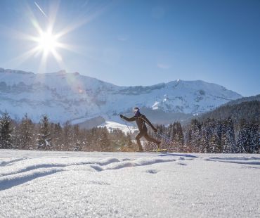 Person enjoying snowy nature whilst cross country skiing