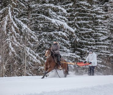 Skier being pulled through the snow by horse