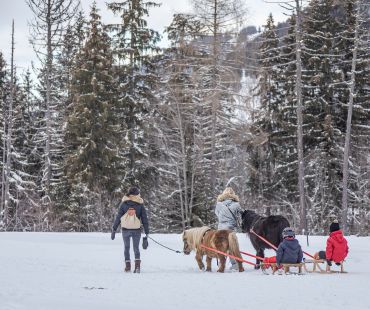 Children on sleds being pulled by ponies through the snow