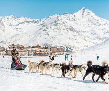 Dogs pulling a sled through the snow