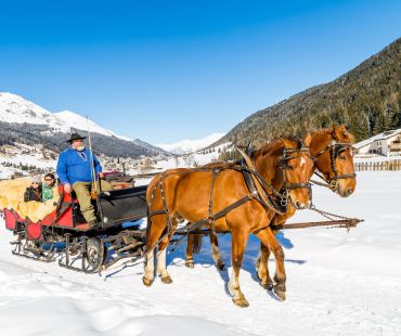 Horses pulling sleigh through the snow