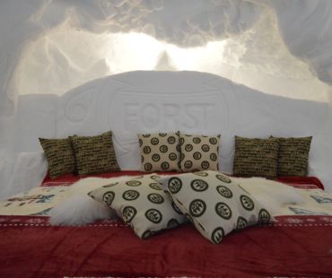 Bed in a icey igloo