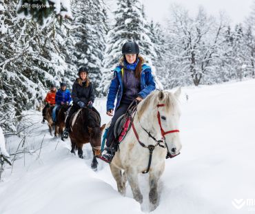 People riding horses through snowy trails