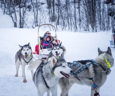 huskies pulling sled through snow