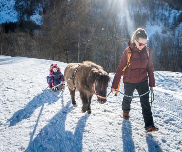 Child being pulled on sled by pony