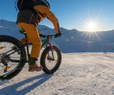 Person riding fat bike on snowy trail