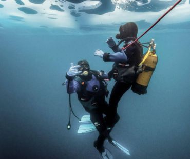 People scuba diving into the frozen waters