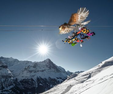 Gliding eagle with passengers through the sky