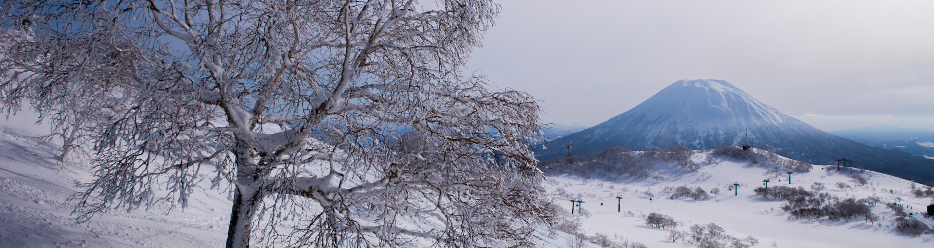 Niseko Powder | Powder Holiday