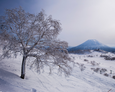 Ski Fields in Niseko with Mt Yotei in the Background