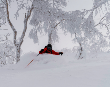 Skier in Hokkaido