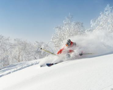 Skier at Niseko