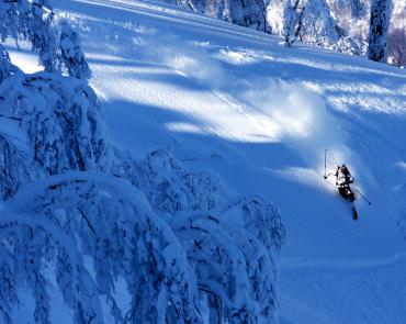 Skier at Rusutsu