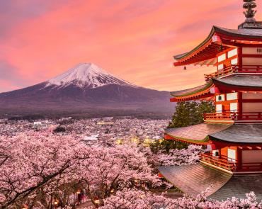 Cherry Blossom Season looking at Mt Fuji