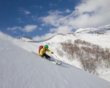 Lotte Arai Powder Skiing