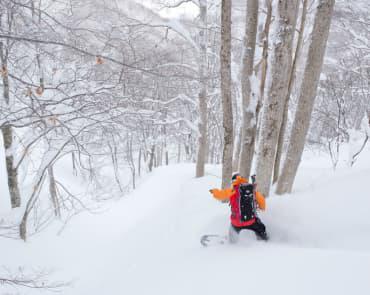 Madarao Backcountry Skiing